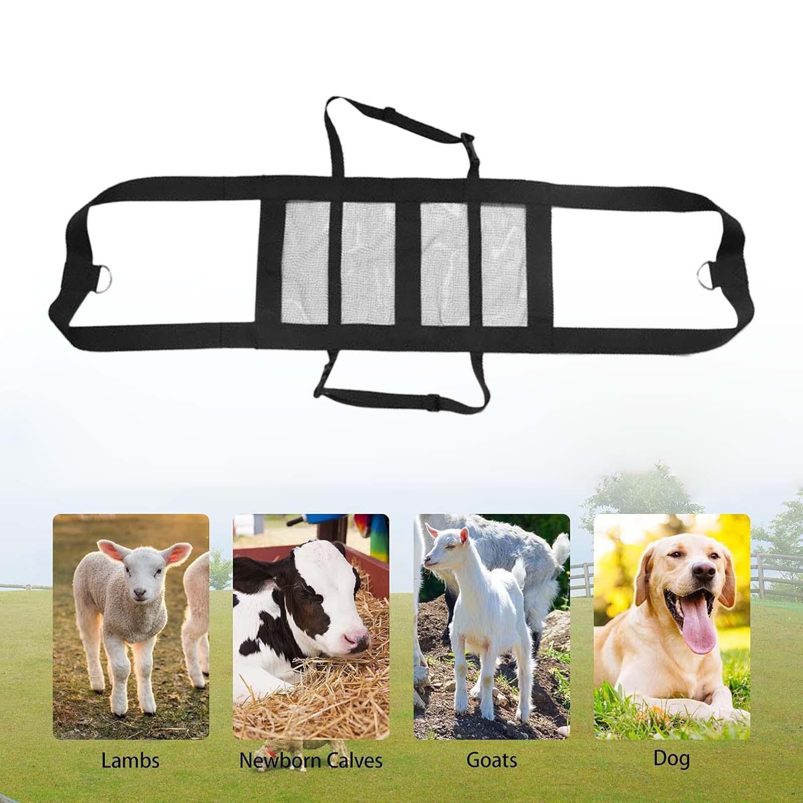 Cinta de Suspensão para Pecuár - Mesh Strap Metal avaliação e preço